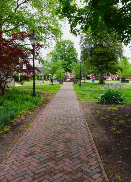 Brick Pathway Repair in Carmel