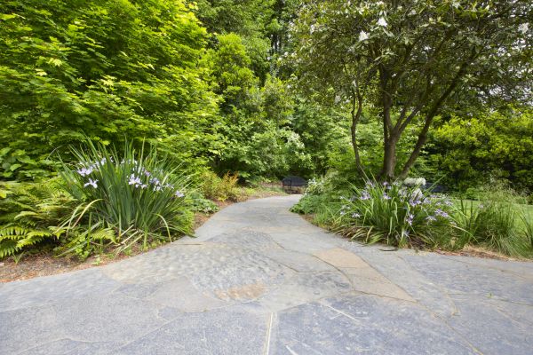 Stone Hardscape Service in Carmel