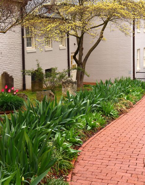 Brick Flatwork Repair in Carmel